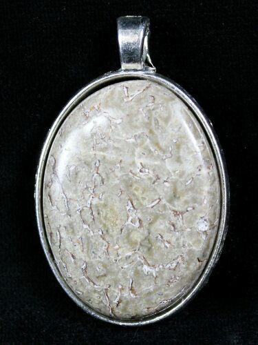 Colorado Agatized Dinosaur Bone Pendant #26937